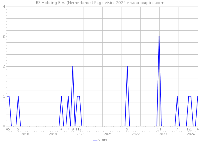 BS Holding B.V. (Netherlands) Page visits 2024 