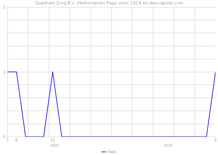 Quadrant Zorg B.V. (Netherlands) Page visits 2024 