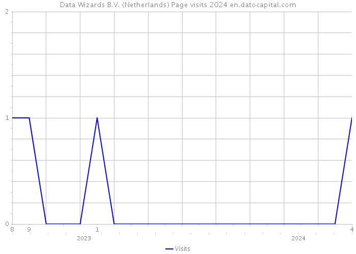 Data Wizards B.V. (Netherlands) Page visits 2024 