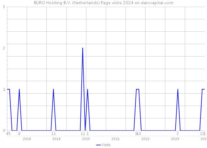 BURO Holding B.V. (Netherlands) Page visits 2024 