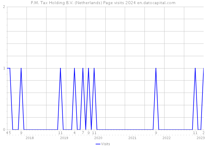 P.M. Tax Holding B.V. (Netherlands) Page visits 2024 