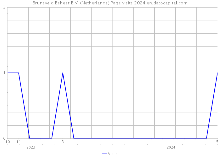 Brunsveld Beheer B.V. (Netherlands) Page visits 2024 