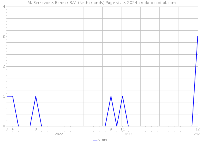 L.M. Berrevoets Beheer B.V. (Netherlands) Page visits 2024 