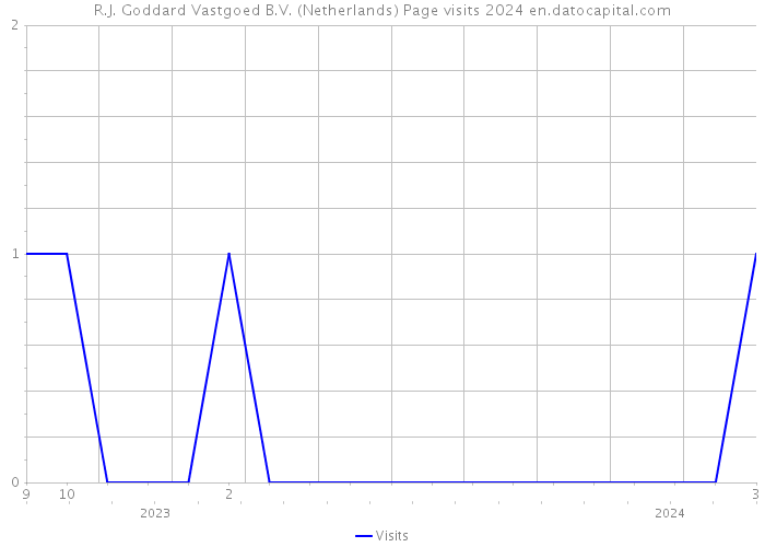 R.J. Goddard Vastgoed B.V. (Netherlands) Page visits 2024 