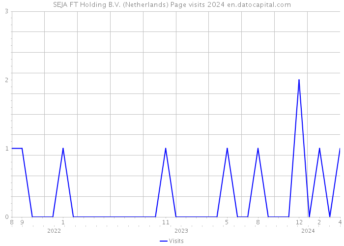 SEJA FT Holding B.V. (Netherlands) Page visits 2024 
