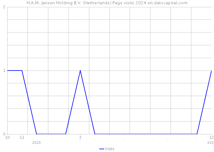 H.A.M. Jansen Holding B.V. (Netherlands) Page visits 2024 