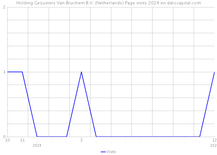 Holding Gezusters Van Bruchem B.V. (Netherlands) Page visits 2024 
