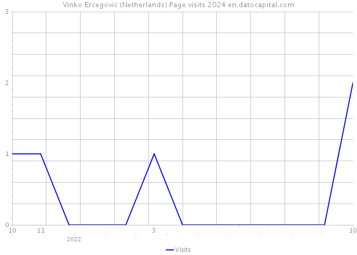 Vinko Ercegovic (Netherlands) Page visits 2024 