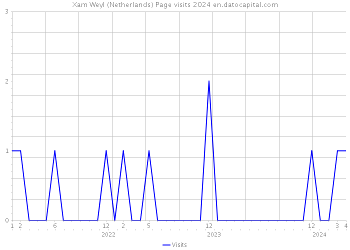 Xam Weyl (Netherlands) Page visits 2024 
