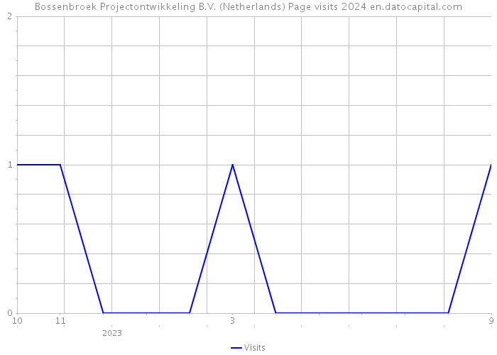 Bossenbroek Projectontwikkeling B.V. (Netherlands) Page visits 2024 