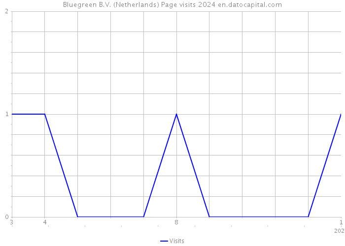 Bluegreen B.V. (Netherlands) Page visits 2024 