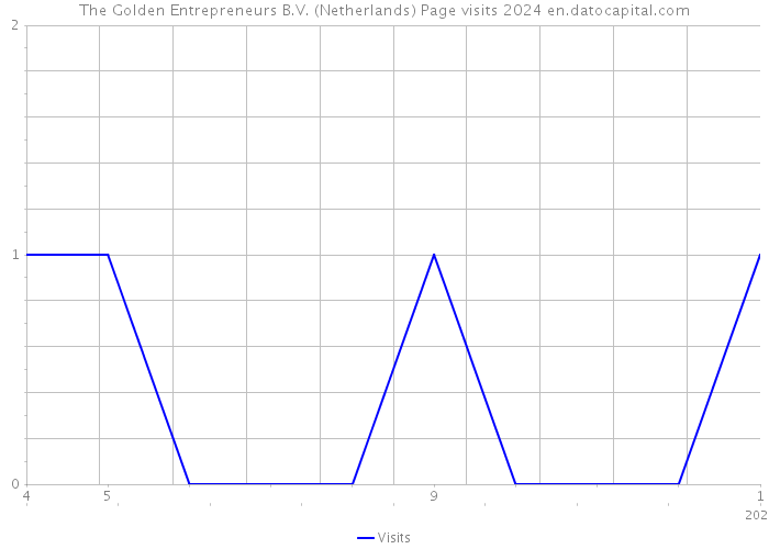 The Golden Entrepreneurs B.V. (Netherlands) Page visits 2024 