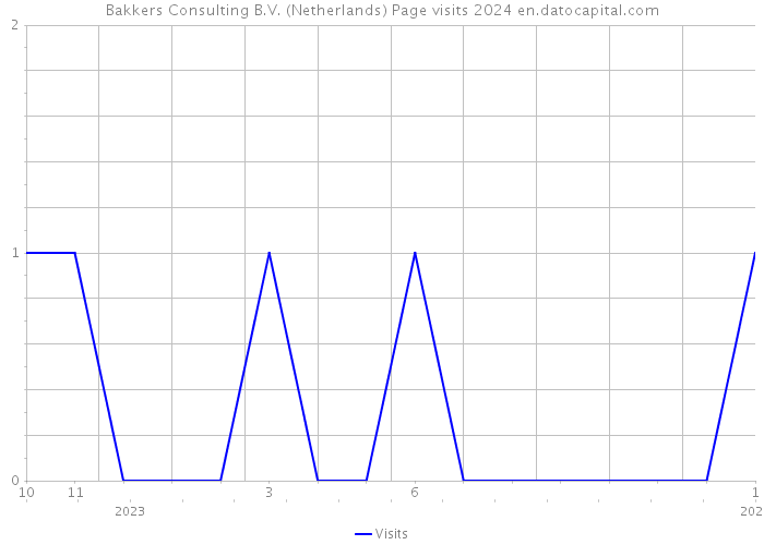 Bakkers Consulting B.V. (Netherlands) Page visits 2024 