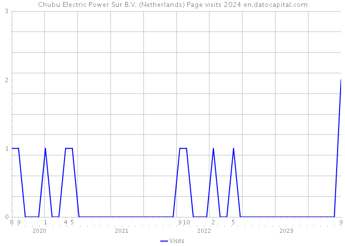 Chubu Electric Power Sur B.V. (Netherlands) Page visits 2024 