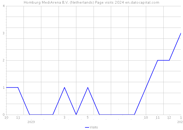 Homburg MediArena B.V. (Netherlands) Page visits 2024 
