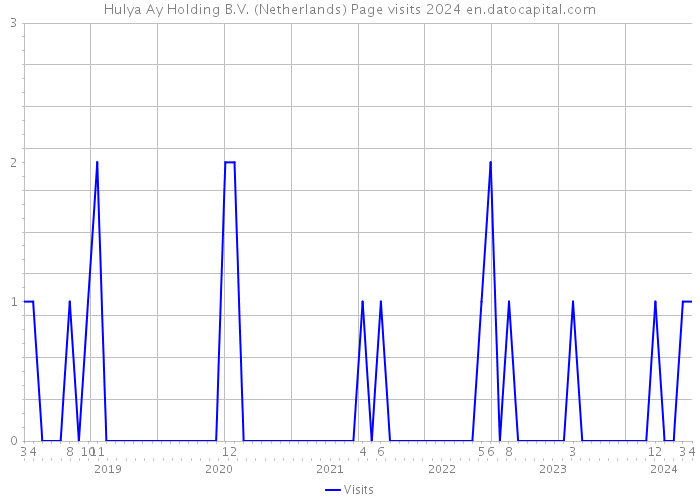 Hulya Ay Holding B.V. (Netherlands) Page visits 2024 