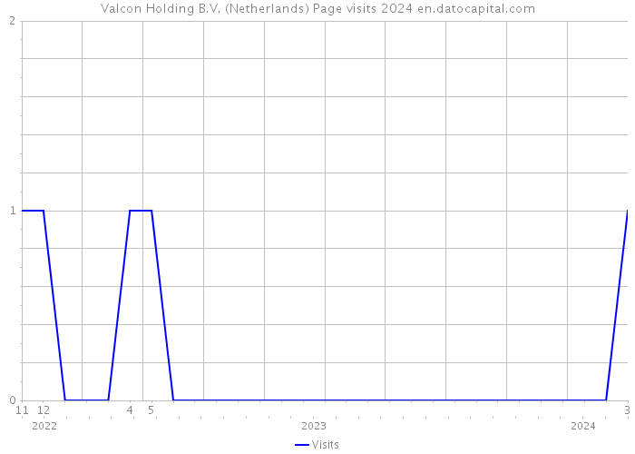 Valcon Holding B.V. (Netherlands) Page visits 2024 