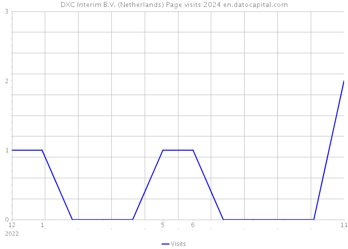 DXC Interim B.V. (Netherlands) Page visits 2024 