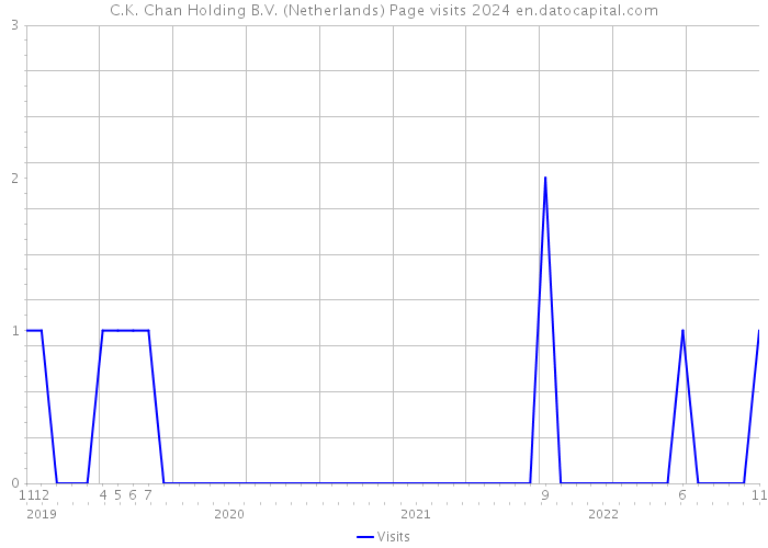 C.K. Chan Holding B.V. (Netherlands) Page visits 2024 