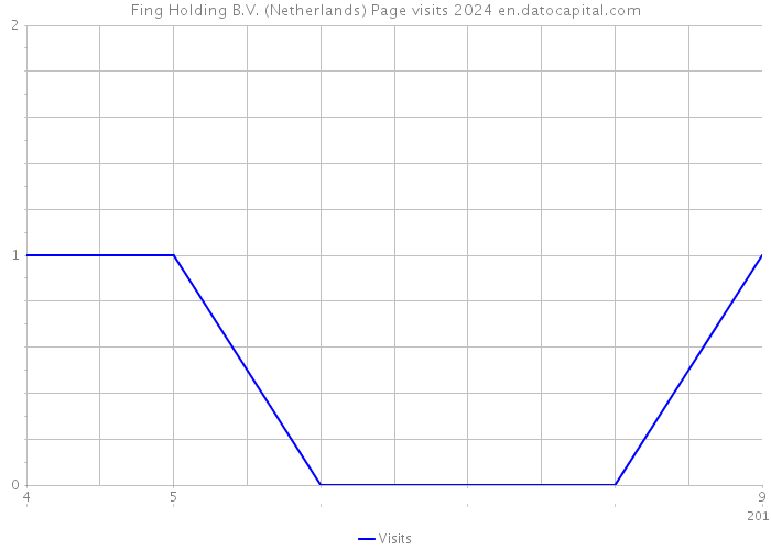 Fing Holding B.V. (Netherlands) Page visits 2024 