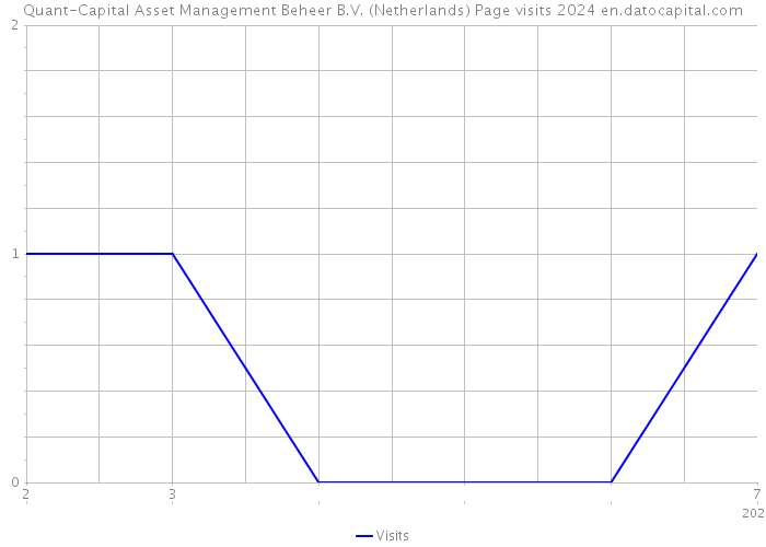 Quant-Capital Asset Management Beheer B.V. (Netherlands) Page visits 2024 