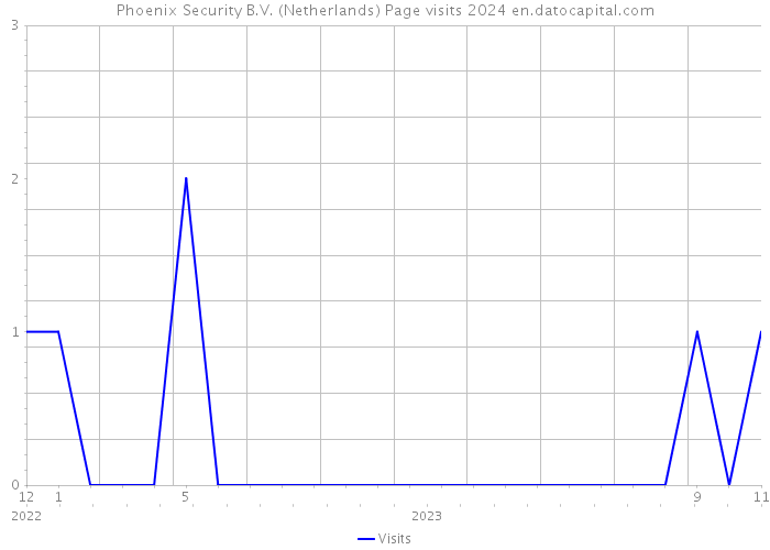 Phoenix Security B.V. (Netherlands) Page visits 2024 