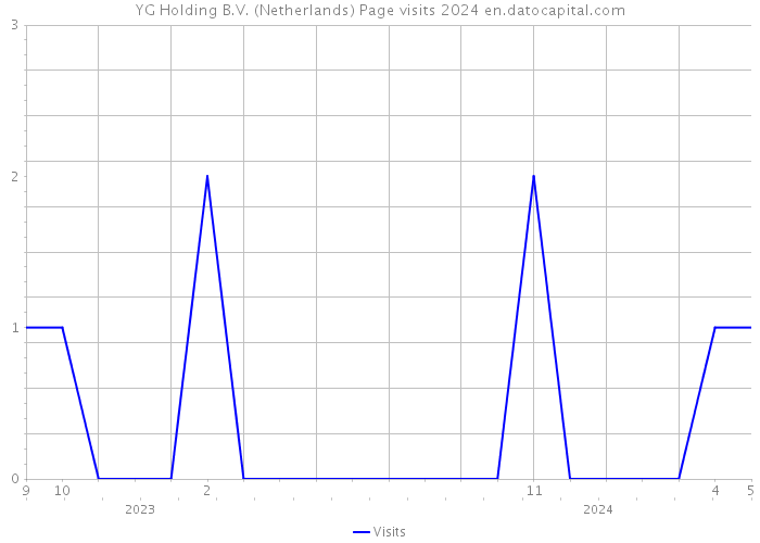 YG Holding B.V. (Netherlands) Page visits 2024 
