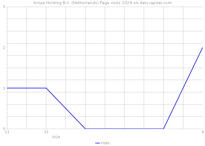 Actua Holding B.V. (Netherlands) Page visits 2024 