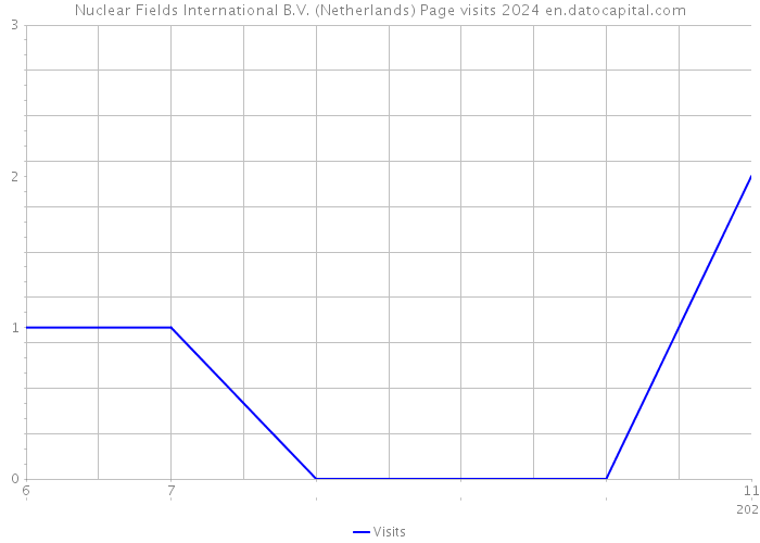 Nuclear Fields International B.V. (Netherlands) Page visits 2024 