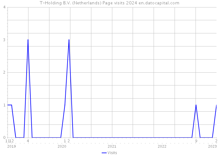 T-Holding B.V. (Netherlands) Page visits 2024 