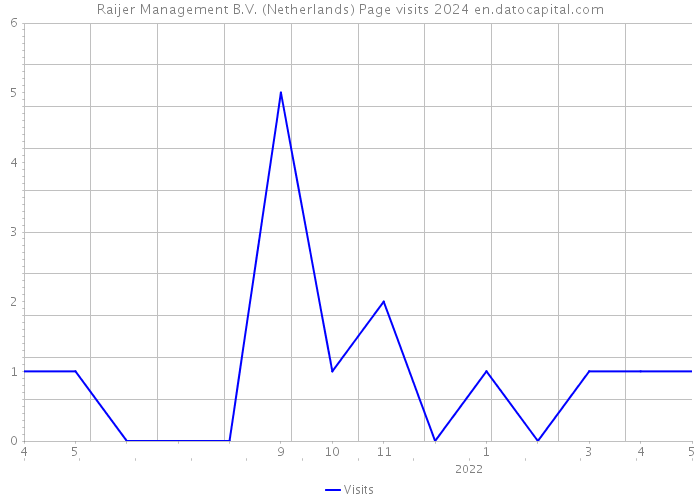 Raijer Management B.V. (Netherlands) Page visits 2024 