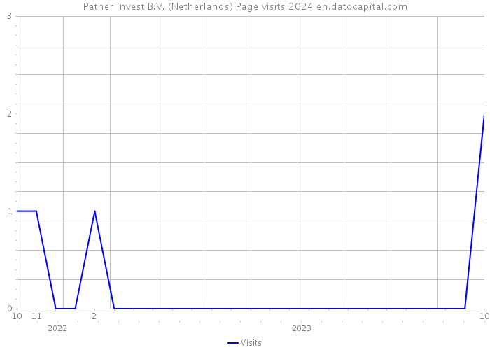Pather Invest B.V. (Netherlands) Page visits 2024 