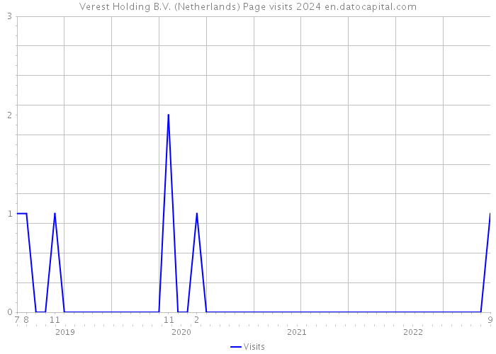 Verest Holding B.V. (Netherlands) Page visits 2024 