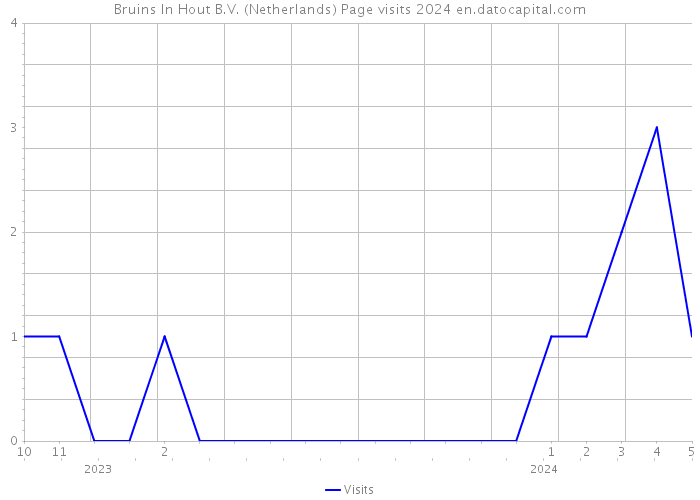 Bruins In Hout B.V. (Netherlands) Page visits 2024 