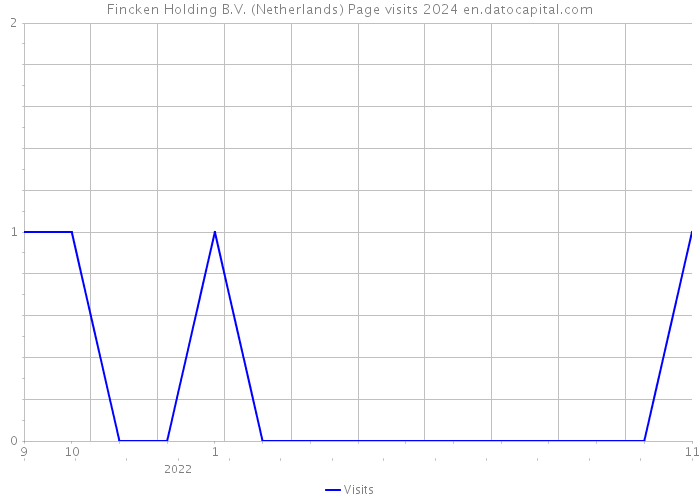 Fincken Holding B.V. (Netherlands) Page visits 2024 