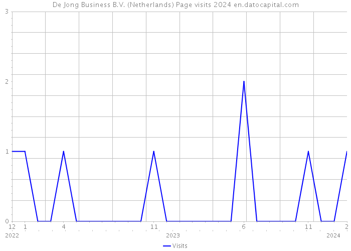 De Jong Business B.V. (Netherlands) Page visits 2024 