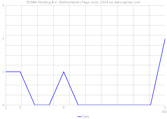 DOWA Holding B.V. (Netherlands) Page visits 2024 