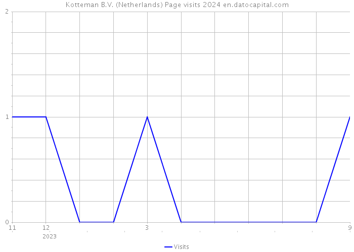 Kotteman B.V. (Netherlands) Page visits 2024 