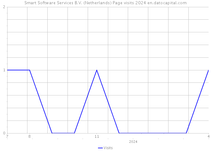 Smart Software Services B.V. (Netherlands) Page visits 2024 