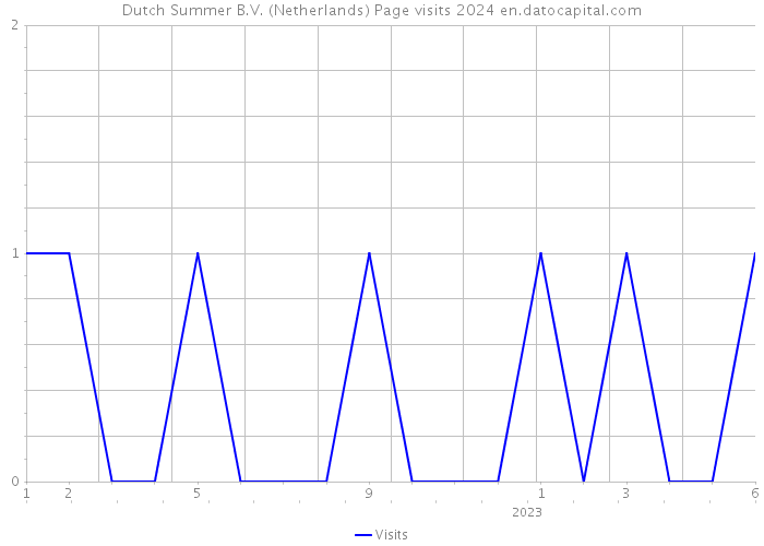 Dutch Summer B.V. (Netherlands) Page visits 2024 