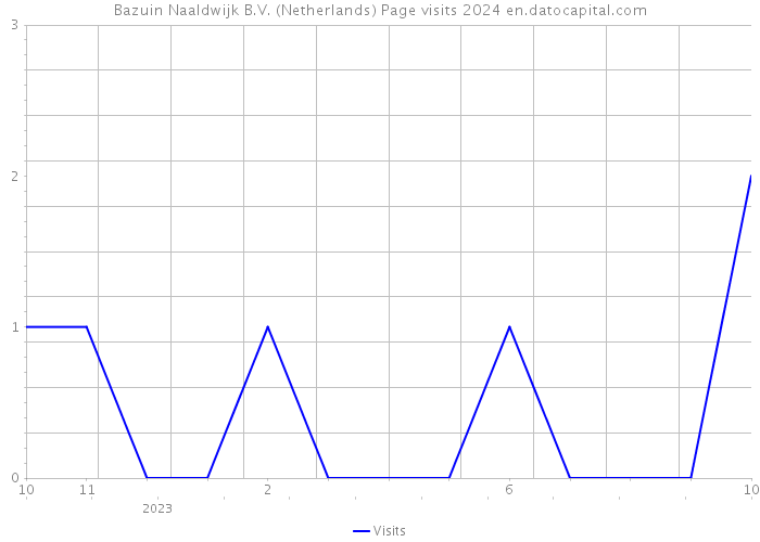 Bazuin Naaldwijk B.V. (Netherlands) Page visits 2024 