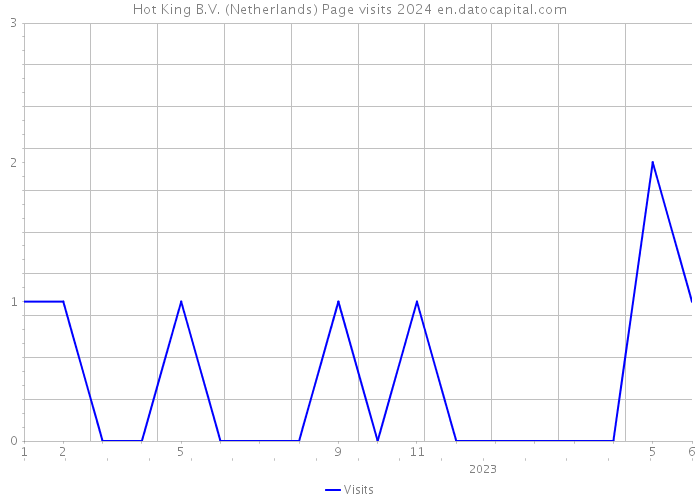 Hot King B.V. (Netherlands) Page visits 2024 