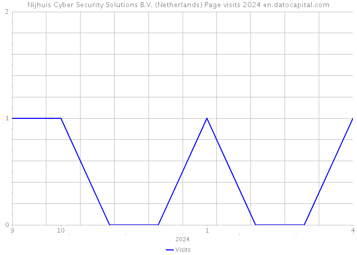 Nijhuis Cyber Security Solutions B.V. (Netherlands) Page visits 2024 