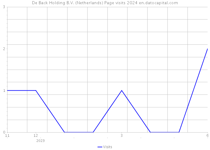 De Back Holding B.V. (Netherlands) Page visits 2024 