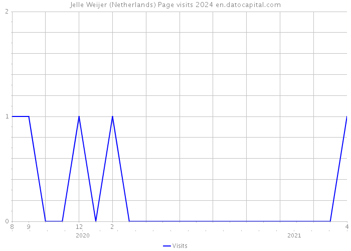 Jelle Weijer (Netherlands) Page visits 2024 