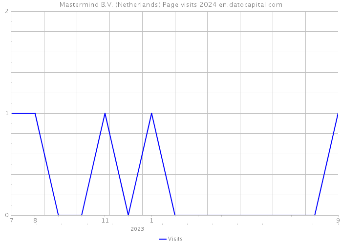 Mastermind B.V. (Netherlands) Page visits 2024 