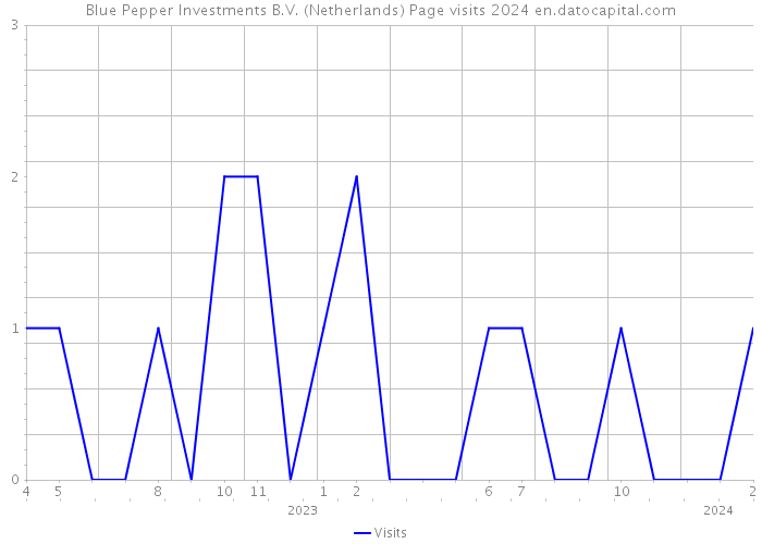 Blue Pepper Investments B.V. (Netherlands) Page visits 2024 