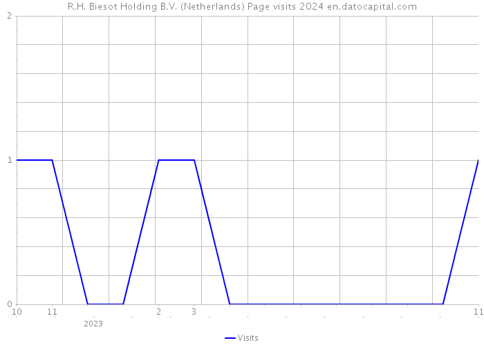 R.H. Biesot Holding B.V. (Netherlands) Page visits 2024 