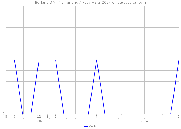 Borland B.V. (Netherlands) Page visits 2024 