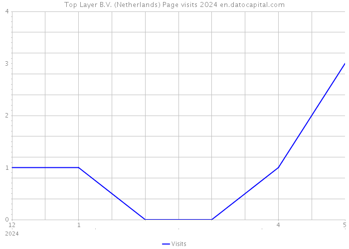 Top Layer B.V. (Netherlands) Page visits 2024 